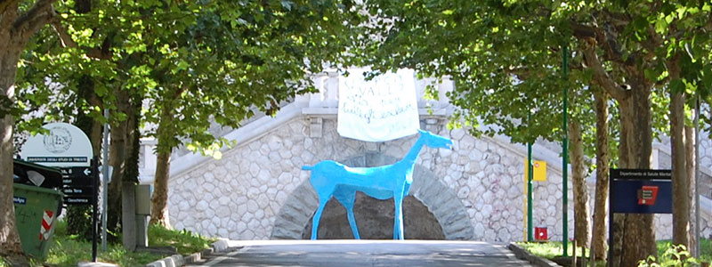 イタリアの精神医療改革のシンボル青い馬